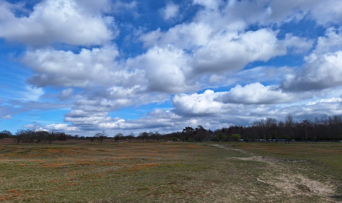 Amsterdamse Waterleidingduinen 04-2024